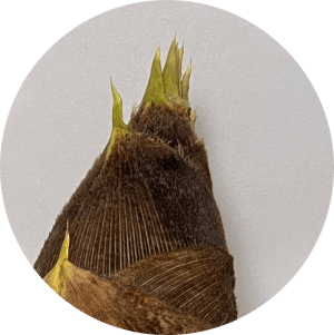 穂先