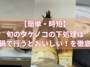【簡単・時短】旬のタケノコの下処理は圧力鍋で行うとおいしい！を徹底解説