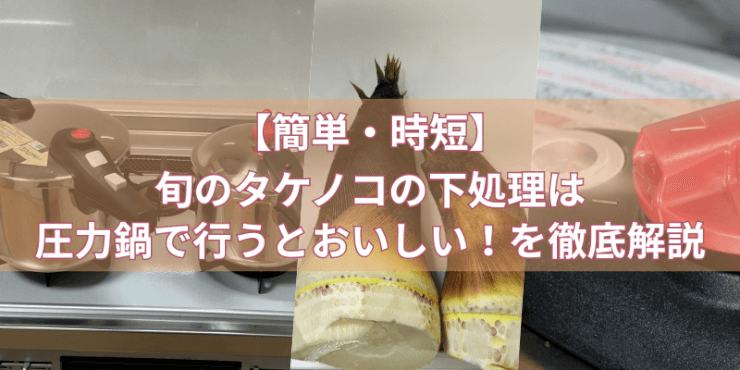 【簡単・時短】旬のタケノコの下処理は圧力鍋で行うとおいしい！を徹底解説